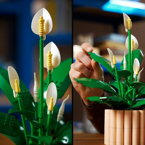 Imagem do produto 5